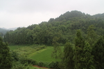 田园风光