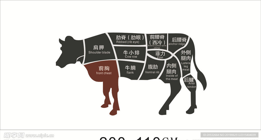 牛排分割图