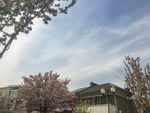 五大道