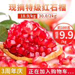 石榴主图