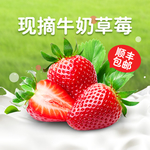 草莓主图