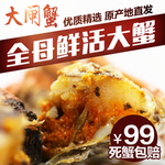 大闸蟹主图