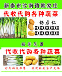 代收代购各种蔬菜名片