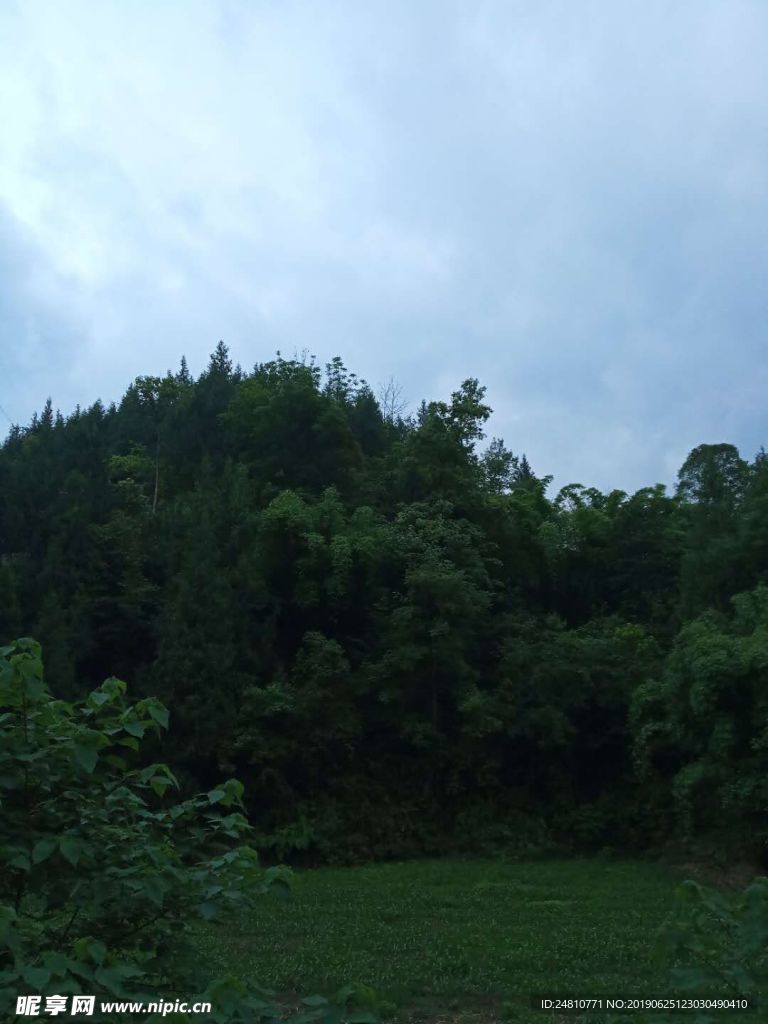 玉米地
