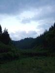 玉米地