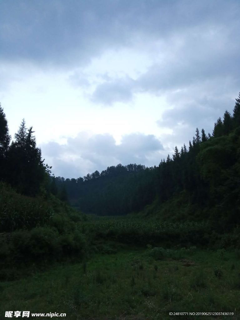 玉米地
