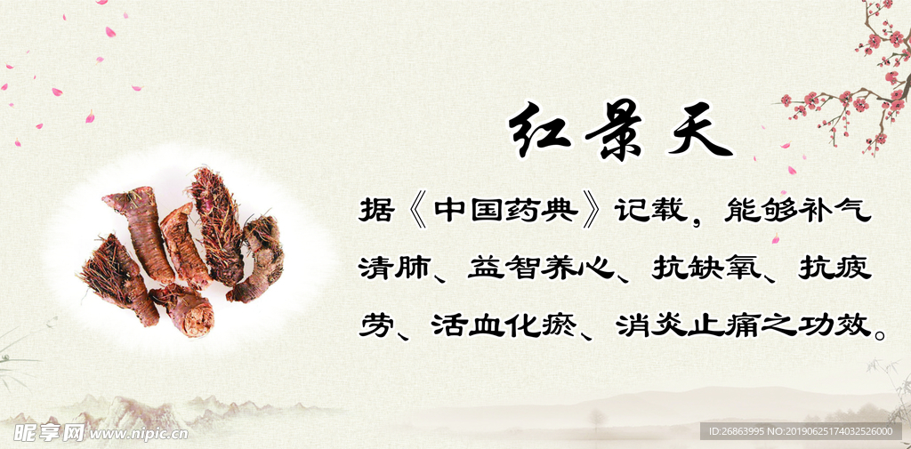 红景天