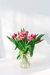 鲜花
