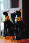 埃及猫
