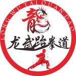 龙武跆拳道logo