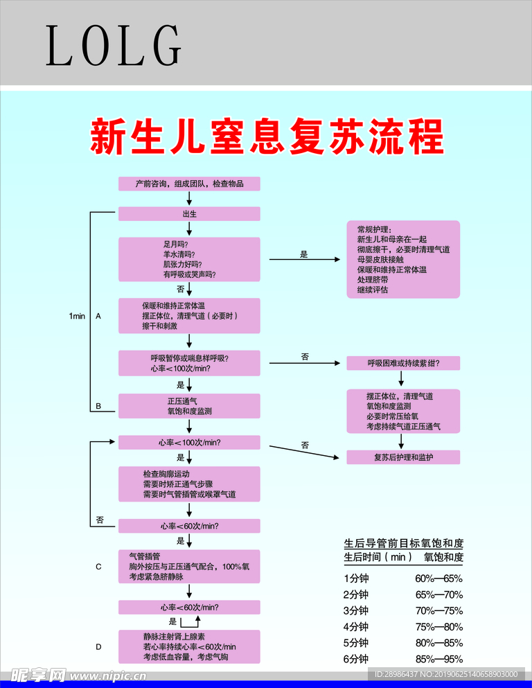 新生儿窒息复苏流程