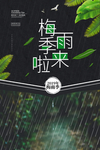梅雨