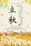 立秋