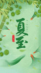 夏至节气ui设计启动页