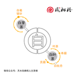 白茶及简介