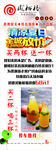 凤栖梧展架