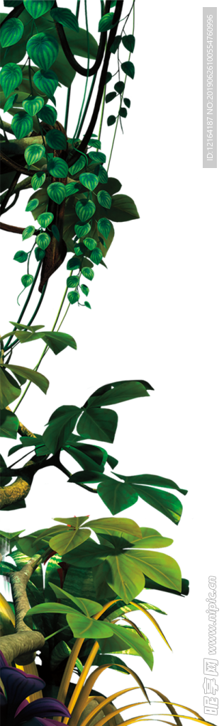 植物背景