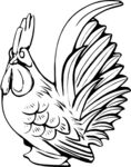 公鸡  大公鸡 矢量图