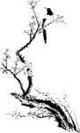 梅花与鸟  梅花
