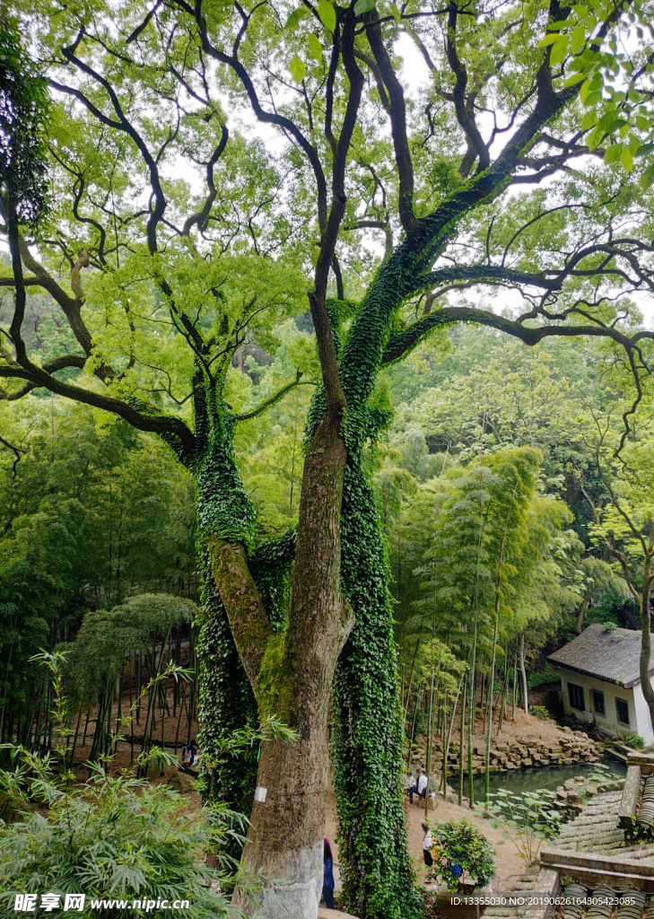 湖南 长沙 岳麓山