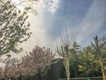 五大道