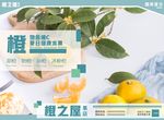 水果橙子海报