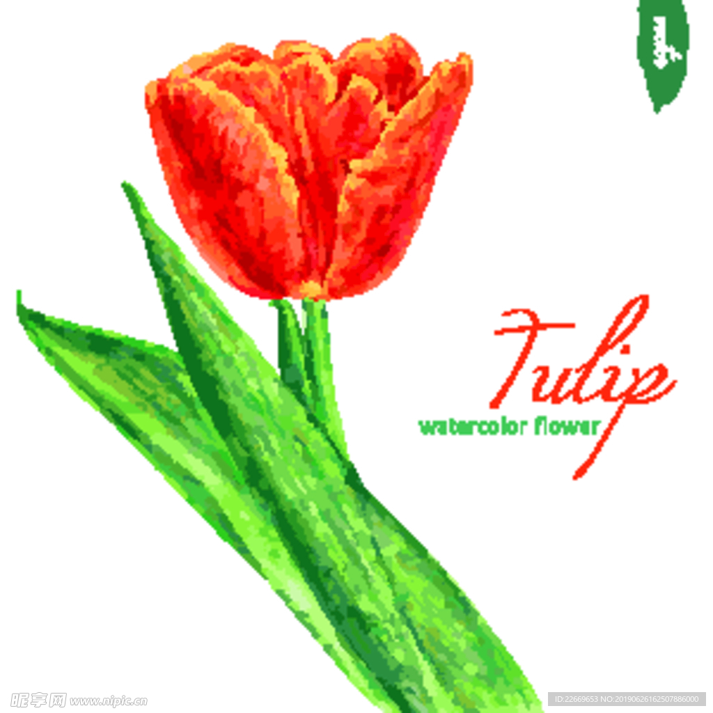 鲜花