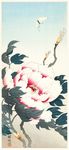 牡丹水墨画