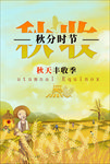 秋收丰收时节节气秋分海报