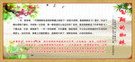 飞翔的蜘蛛小故事