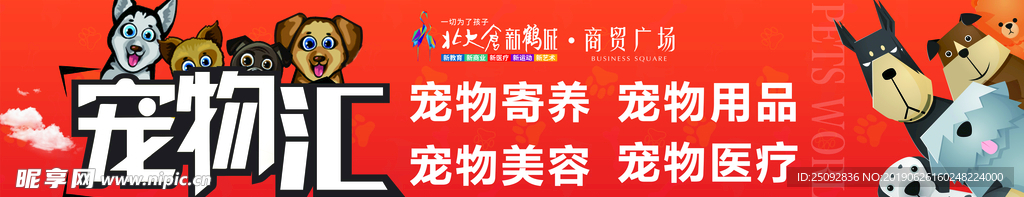 宠物广告