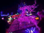 台儿庄古城 灯会 元宵节