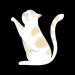 卡通猫