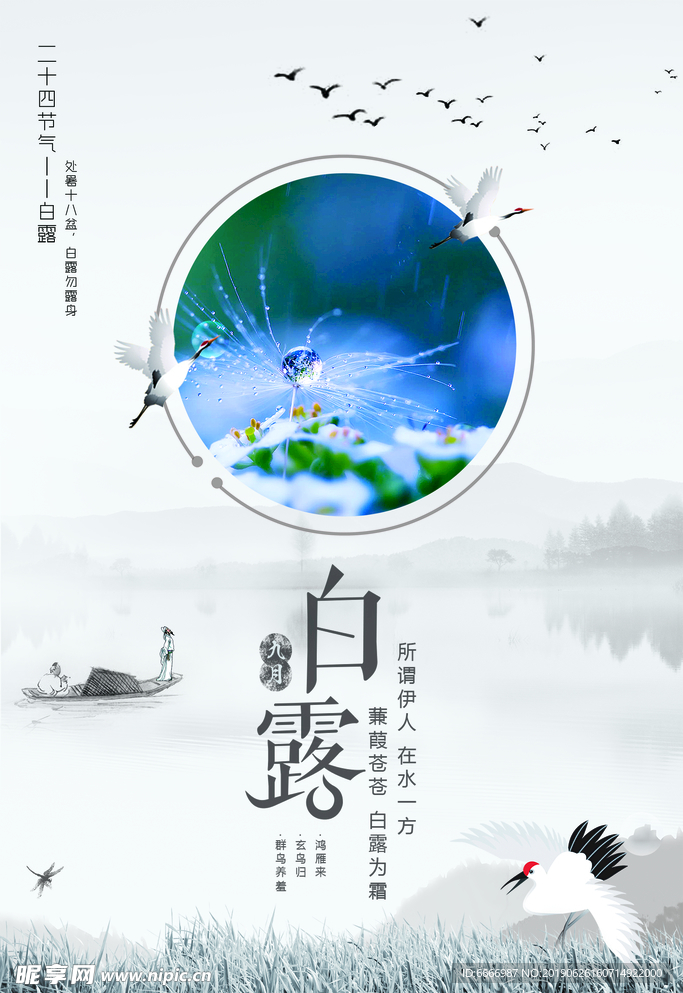 时尚大气二十四节气白露海报设计