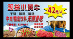 现杀小黄牛  干锅牛肉