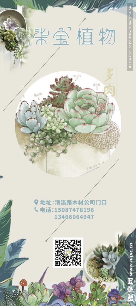 漆宝植物