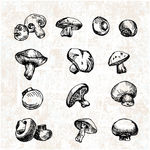 16款手绘蘑菇设计