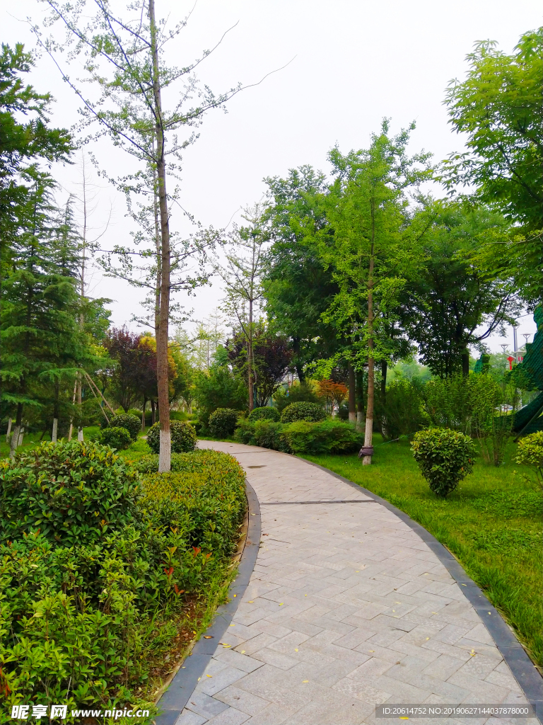 城市公园风景