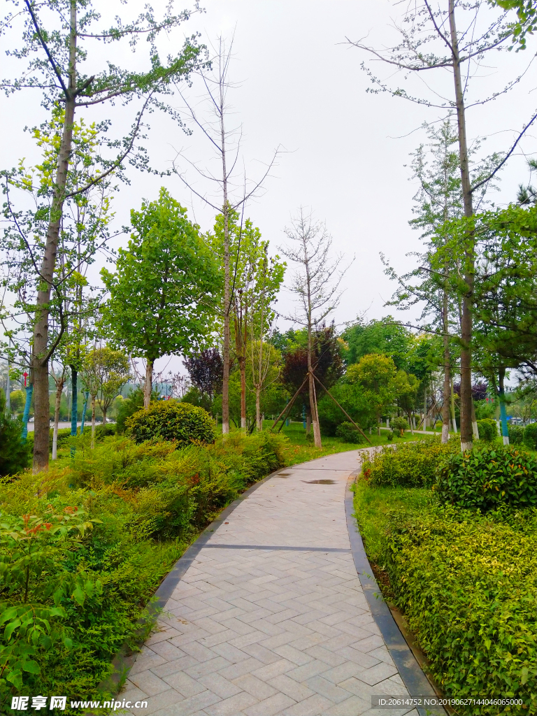 城市公园风景