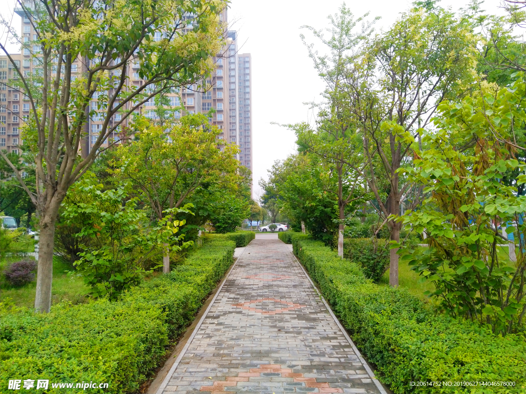 城市公园风景
