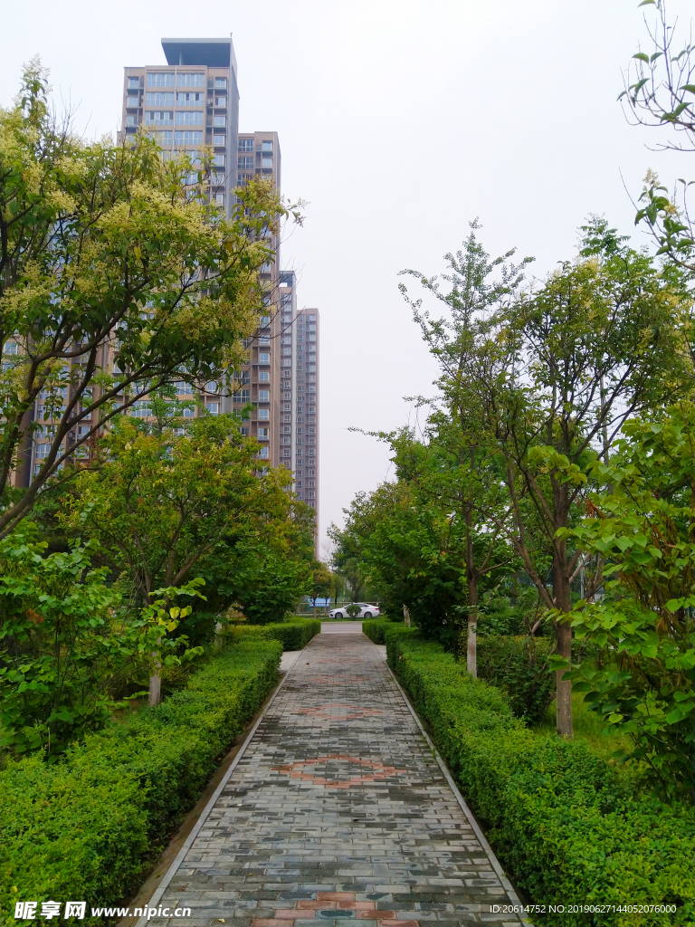 城市公园美景