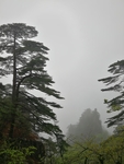 黄山美景