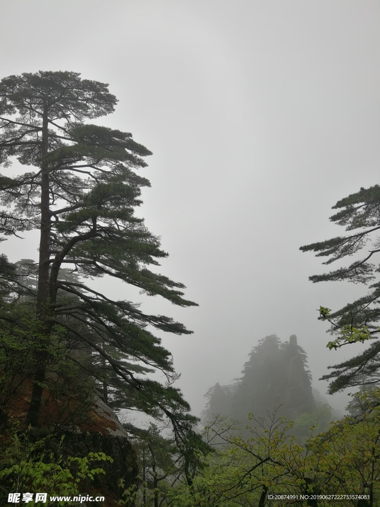 黄山美景