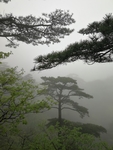 黄山美景