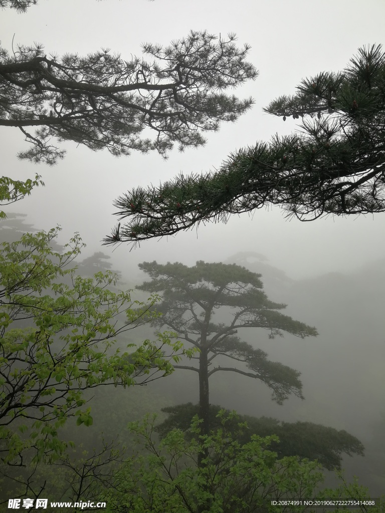 黄山美景