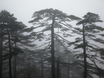 黄山美景