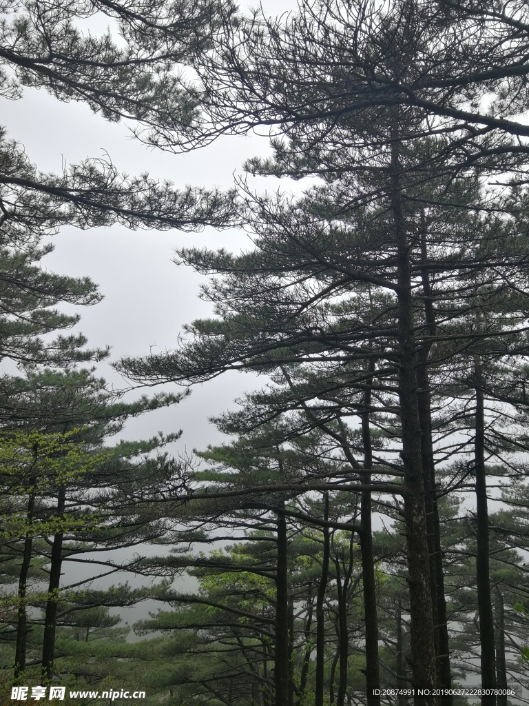黄山美景