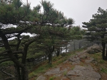 黄山美景