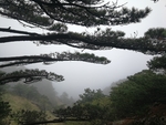 黄山美景