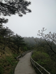 黄山美景
